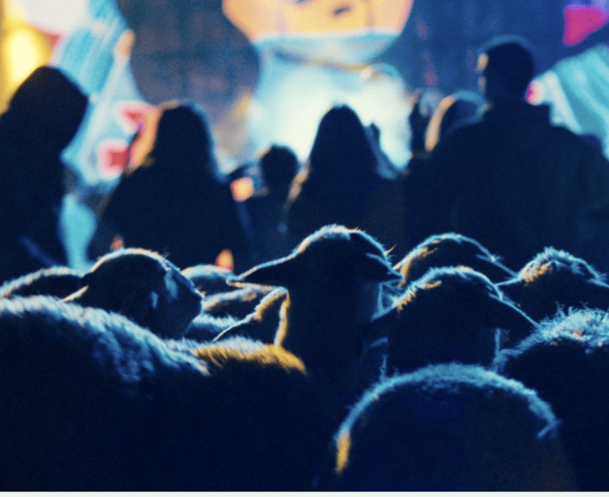 Capture d’écran 2026-03-28 à 16.52.48